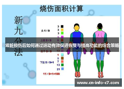 肾脏损伤后如何通过运动有效促进恢复与提高功能的综合策略