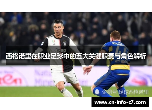 西格诺里在职业足球中的五大关键职责与角色解析