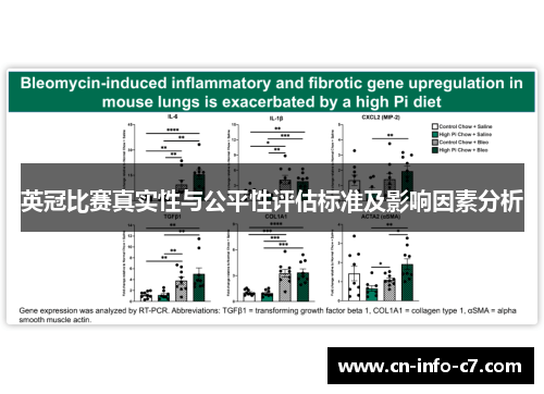 英冠比赛真实性与公平性评估标准及影响因素分析