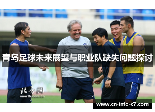 青岛足球未来展望与职业队缺失问题探讨