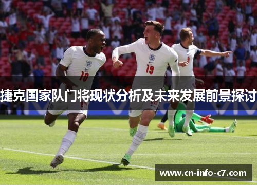 捷克国家队门将现状分析及未来发展前景探讨