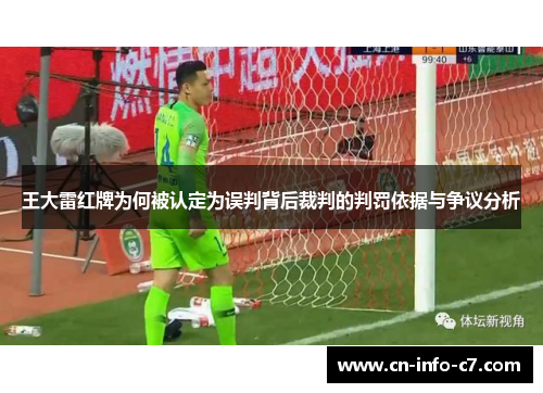 王大雷红牌为何被认定为误判背后裁判的判罚依据与争议分析