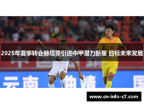 2025年夏季转会赫塔菲引进中甲潜力新星 目标未来发展 2025年夏季转会赫塔菲引进中甲潜力新星 目标未来发展