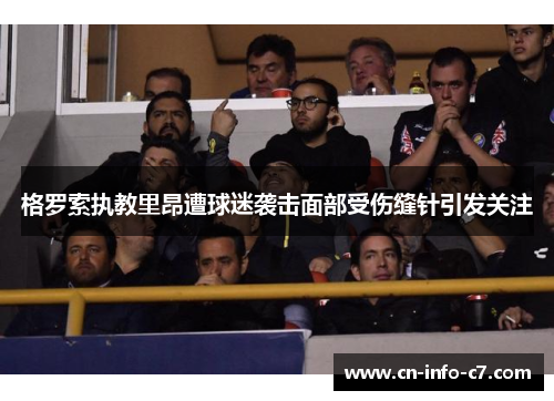 格罗索执教里昂遭球迷袭击面部受伤缝针引发关注