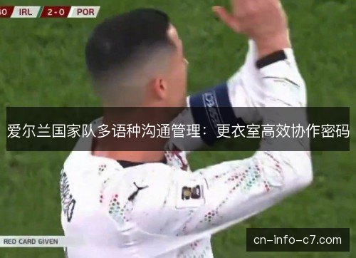 爱尔兰国家队多语种沟通管理：更衣室高效协作密码