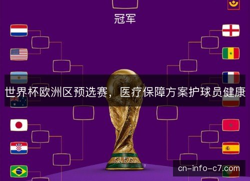 世界杯欧洲区预选赛，医疗保障方案护球员健康